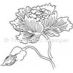 peony-cut-out-and-mounted-on-cling-cushioning-347-p.jpg