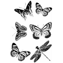 butterflies-2-size-a5-cut-out-and-mounted-on-cling-cushioning-180-p.jpg