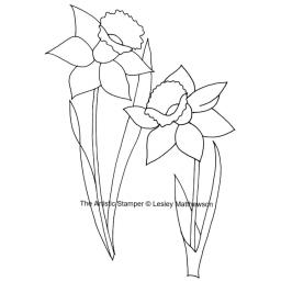 daffodils-lesley-matthewson-cut-out-and-mounted-on-cling-cushioning-4695-p.png