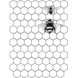 honeycomb-background-free-bees-cut-out-and-mounted-on-cling-cushioning-4556-p.jpg