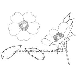 dog-rose-lesley-matthewson-cut-out-and-mounted-on-cling-cushioning-4698-p.png