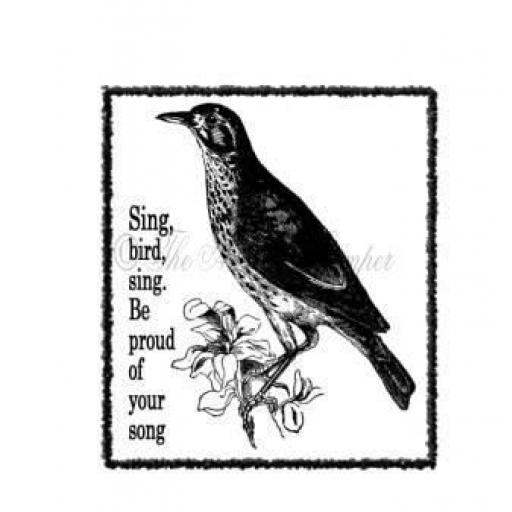birdsong-complete-cut-out-and-mounted-on-cling-cushioning-185-p.jpg