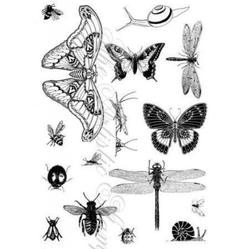insects-and-butterflies-1-a5-cut-out-and-mounted-on-cling-cushioning-182-p.png