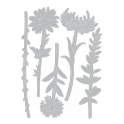 664163 wildflowers set 1.jpg