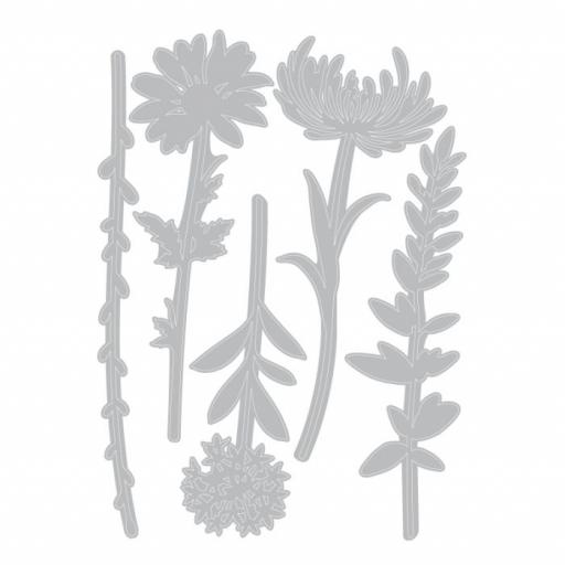 664163 wildflowers set 1.jpg