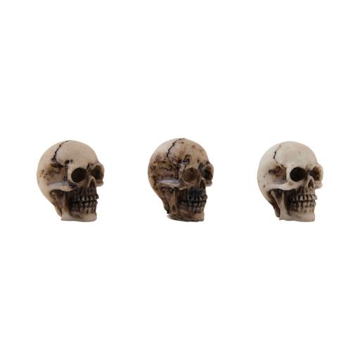 idea-ology-tim-holtz-halloween-skulls-bones-th9433.jpg