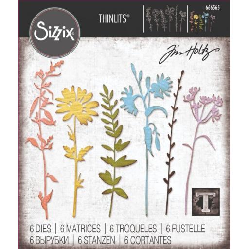 Sizzix Thinlits Die Set 6PK - Vault Wildflowers by Tim Holtz
