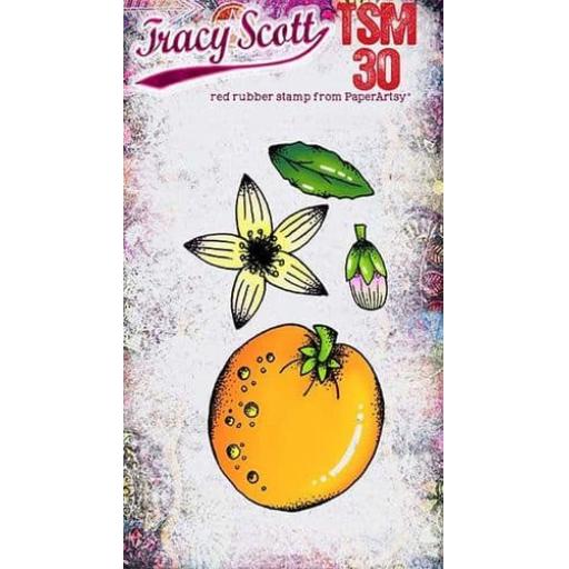 PaperArtsy -  Tracy Scott Mini 30