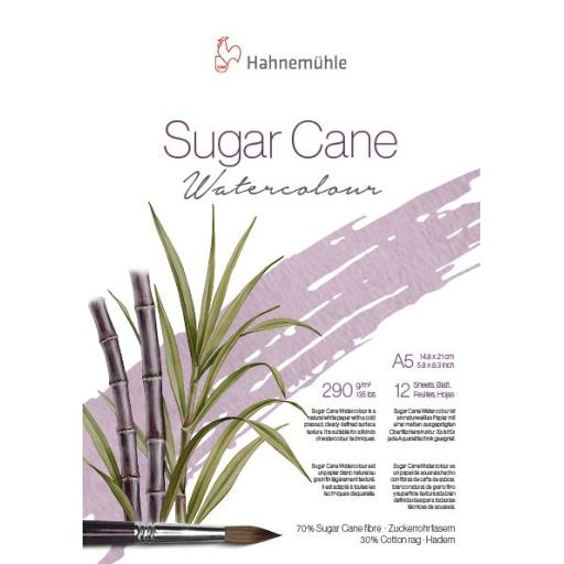 Sugar Cane Watercolour size A5