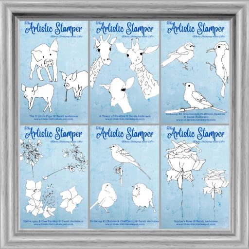 Sarah Anderson June 2024 Rubber stamp release - Full Set of 6 stamps - Limited Offer
